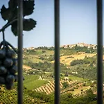 Italian Experience-zena Cupramontana