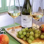 Apartment Italian Experience-zena Cupramontana
