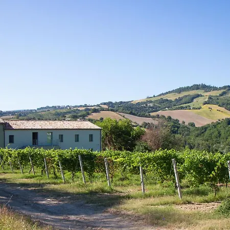 Italian Experience-zena Cupramontana