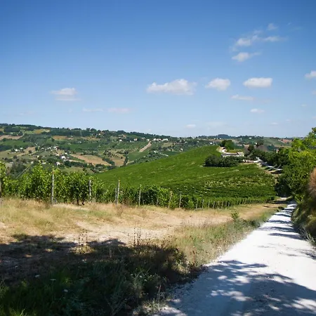 Italian Experience-zena Apartament Cupramontana