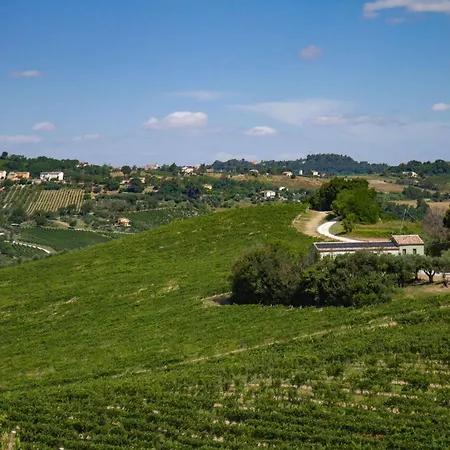 Italian Experience-zena Cupramontana