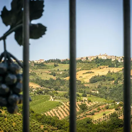 Italian Experience-zena Cupramontana